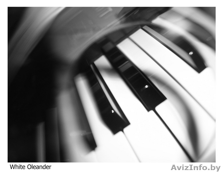 Репетиторство по музыкальной грамоте - Изображение #1, Объявление #101831