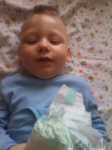 Волонтер/помощник - Изображение #1, Объявление #282259