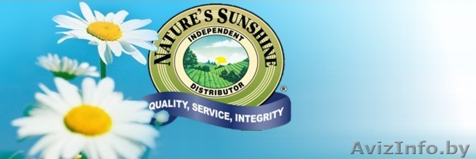 Бизнес с NSP в Бресте! - Изображение #1, Объявление #576502