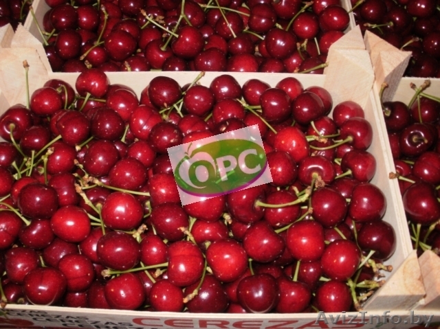 Свежая черешня оптом - Изображение #1, Объявление #637279