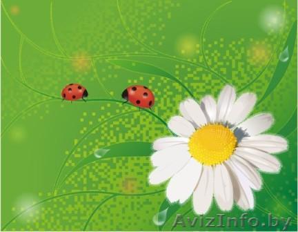 Беловежская пуща  Каменюки  - квартира на сутки. - Изображение #1, Объявление #661858