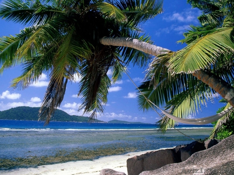 Славянка Туроператор!!!!!!!!! - Изображение #1, Объявление #755798