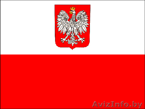 Зарегистрируем анкету для визы за покупками и др. в Польшу! - Изображение #1, Объявление #864249