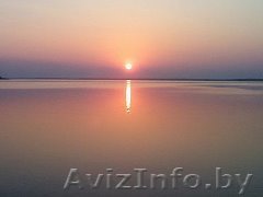 Cдам дачу у озера (Селец брестской обл.) - Изображение #1, Объявление #279194