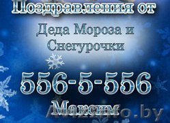 Дед Мороз и Снегурочка на дом, офис, сад, школу - Изображение #1, Объявление #1340397
