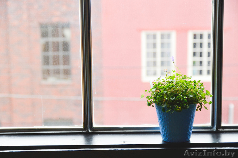 В  «Окнаград» акция: «Первые 100 окон ставим бесплатно»! - Изображение #1, Объявление #1372111