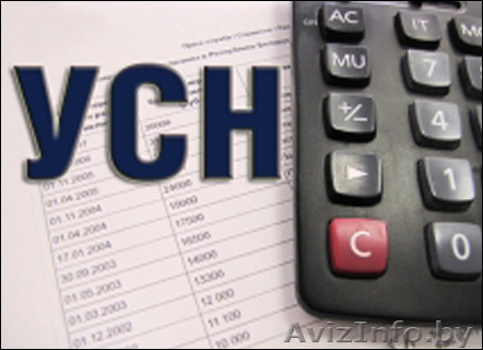 Бухгалтерский учёт ИП при УСН (тариф Light). - Изображение #1, Объявление #1400455