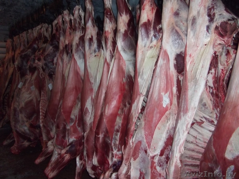 Покупаем Мясо говядины на кости - Изображение #1, Объявление #1486653