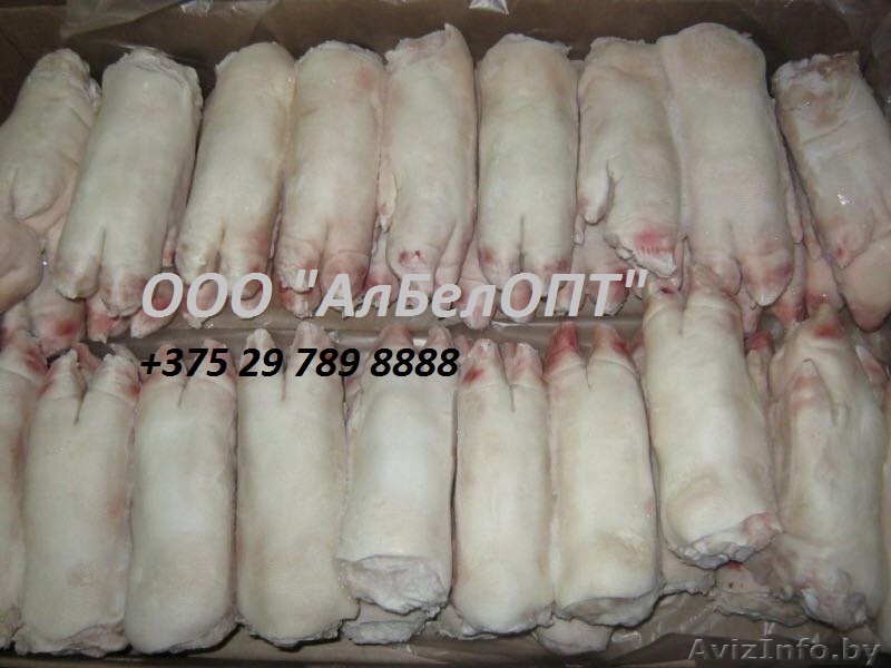 Покупаем Свиные ноги передние и задние ОПТОМ - Изображение #1, Объявление #1486654
