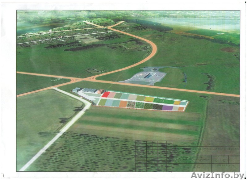 Земельный участок площадью 1га в Каменецком районе - Изображение #1, Объявление #1582607