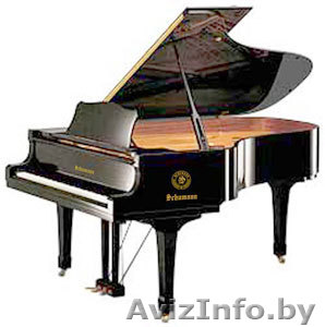 +375336262112 - Изображение #1, Объявление #1643932