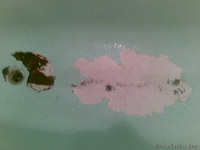 ЭМАЛИРОВКА ВАНН.РИСУНОК НА ВАННЕ - Изображение #1, Объявление #19634