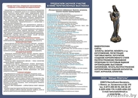 ООО "Звезда Фартуны" предлагает распространение  рекламной информации по г.Минск - Изображение #1, Объявление #37823