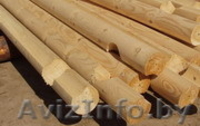 Срубы домов, бань, беседок из оцилиндрованного бревна. Пиломатериал. Колья. - Изображение #5, Объявление #152042