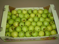 Овощи и фрукты из Европы - Изображение #1, Объявление #161207