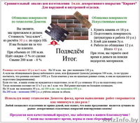 Декоративные покрытия Под Ключ ! - Изображение #3, Объявление #215333