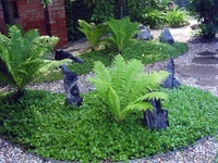 Ландшафтный дизайн озеленение - www.l-premium.brest.by - Изображение #4, Объявление #240138