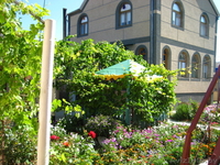 отдых недорогой в крыму - Изображение #1, Объявление #244505