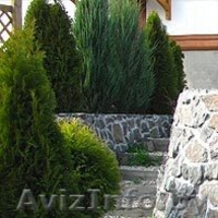 Центр ландшафтной архитектуры, ООО -WWW.GRINCITI.BY - Изображение #4, Объявление #255484