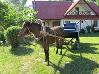 Усадьба "Олизаров Став" - Изображение #8, Объявление #330211