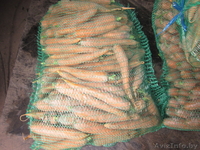 Частное фермерское хозяйство реализует Картофель, Морковь, Капусту  - Изображение #1, Объявление #322943