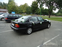 прокат авто на свадьбу - Изображение #3, Объявление #88745