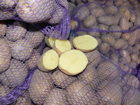 ИООО "БиссолоГабриэлеФарм" - Изображение #2, Объявление #361446