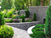 ОЗЕЛЕНЕНИЕ УЧАСТКА, ЛАНДШАФТНЫЙ ДИЗАЙН  - Изображение #7, Объявление #218417