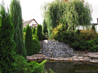 ОЗЕЛЕНЕНИЕ УЧАСТКА, ЛАНДШАФТНЫЙ ДИЗАЙН  - Изображение #1, Объявление #218417