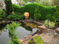 Компания «Грин Сити» Центр ландшафтной архитектуры ООО - Изображение #4, Объявление #473722