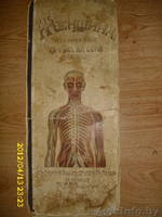 Альбом 1908г.Женщина. - Изображение #1, Объявление #641660