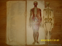 Альбом 1908г.Женщина. - Изображение #5, Объявление #641660