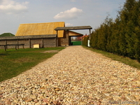 Дом на сутки, баня, банкетный зал, беседка в усадьбе "Брестская" - Изображение #2, Объявление #671419