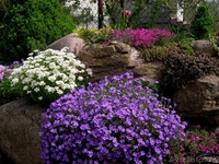 "ОАЗИС ВО ДВОРЕ", Озеленение и благоустройство участка, Брест - Изображение #4, Объявление #614965