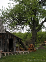  Земельный участок продам, 25 км от г Бреста - Изображение #9, Объявление #780424