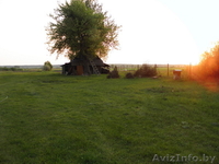  Земельный участок продам, 25 км от г Бреста - Изображение #8, Объявление #780424