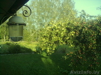  Земельный участок продам, 25 км от г Бреста - Изображение #3, Объявление #780424