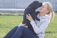 Щенки лабрадора. Породистые, с родословной. - Изображение #1, Объявление #771185