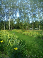  Земельный участок продам, 25 км от г Бреста - Изображение #4, Объявление #780424