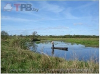 Продается действующая агроэкоусадьба в Пуще! - Изображение #7, Объявление #792206