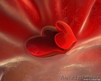 Проведение свадьб и корпоративов  - Изображение #1, Объявление #819703