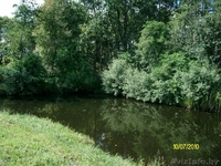 Дом в 10км от Беловежской пущи - Изображение #4, Объявление #824130