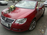 Кабриолет на свадьбу и праздник - Изображение #1, Объявление #874322