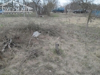 Садоводческое товарищество «Мечта» - Изображение #4, Объявление #889158