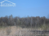 Земельный участок в пригороде Бреста - Изображение #6, Объявление #891108