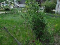 Садоводческое товарищество «Климат 10» - Изображение #3, Объявление #900805