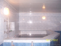 БАНЯ БРЕСТ. Возможен ночлег. наст.теннис, неб.бассейн. Беседка,Мангал  - Изображение #6, Объявление #819206