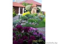 ГОСТЕВОЙ ДОМ С БАНЕЙ - Изображение #1, Объявление #969007