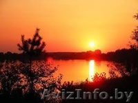 Продается участок в экологическом заповеднике, не далеко от города  Бреста. - Изображение #2, Объявление #993458