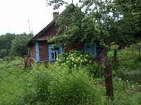 Продам дом(50м) с участком (2225м) в д.Большие Комарники. - Изображение #3, Объявление #997849